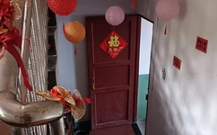 草莓丝瓜向日葵樱桃榴莲